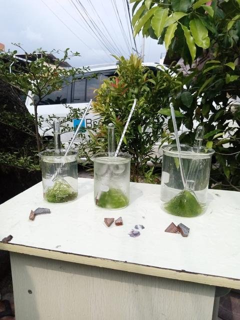 Praktikum IPA di luar kelas